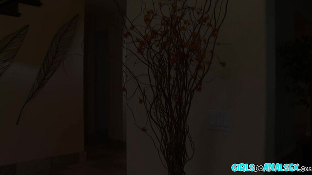 Asian girl first anal sex scene